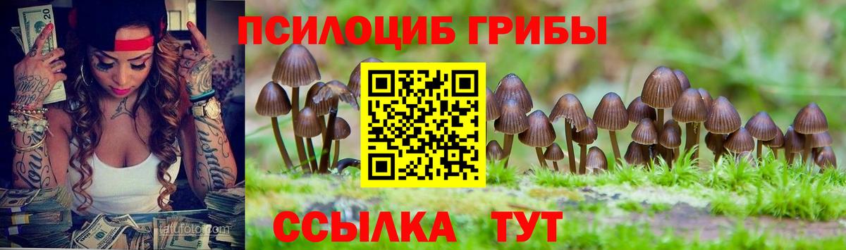Галлюциногенные грибы MAGIC MUSHROOMS  закладки  Псилоцибиновые грибы прущие грибы  Туапсе  Вход с VPN 