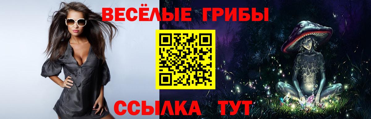 Галлюциногенные грибы прущие грибы Туапсе